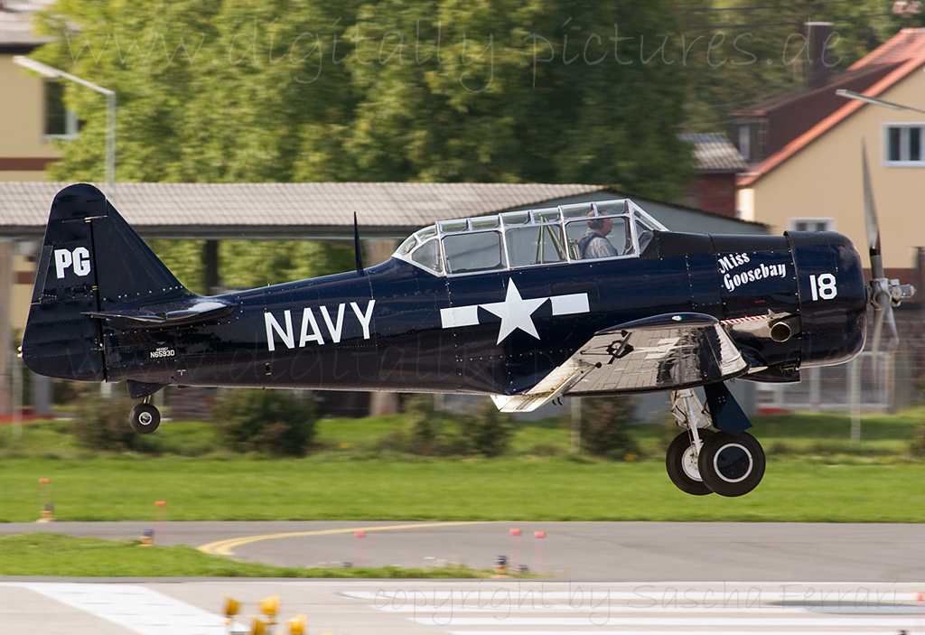 North American Texan